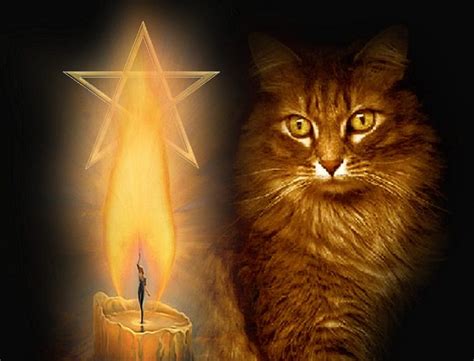 Summoning the ancient wisdom of pagan cat ancestors